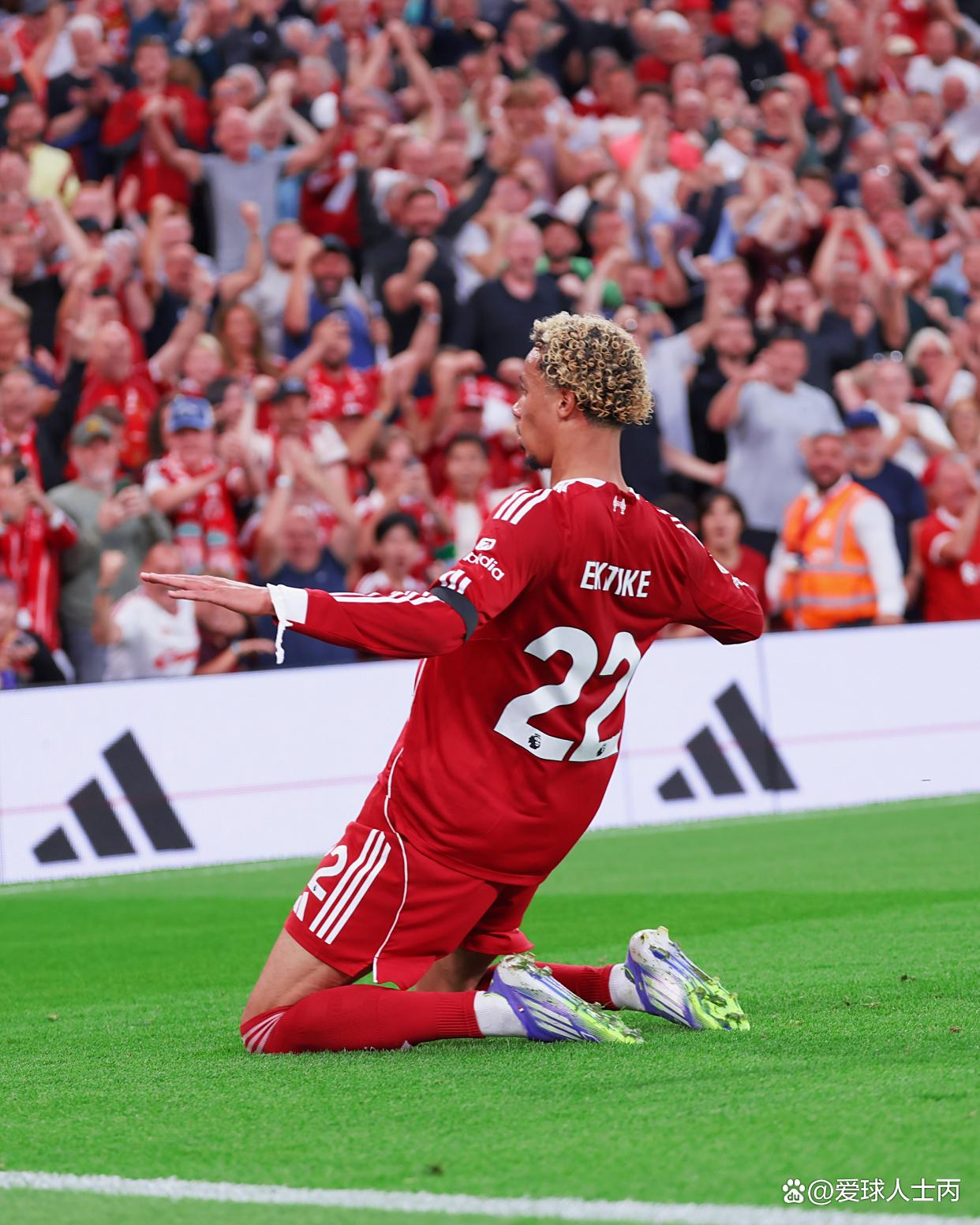 关于利物浦主场获胜，逼近英超前四名的信息