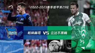 游戏平台-不来梅队球员伤病潮，战力大打折扣的简单介绍